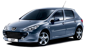 Autoradio DVD Navigatore GPS per Peugeot 307 | Autoradio Navigatore GPS Lettore DVD per Peugeot 307